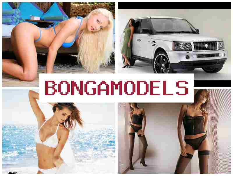 BONGA MOSELS 🔔 ඔන්ලයින් වීඩියෝ චැට් මගින් ඉහළ වැටුප්, 24/7 තාක්ෂණික සහාය සහිතව අත්විඳින්න.