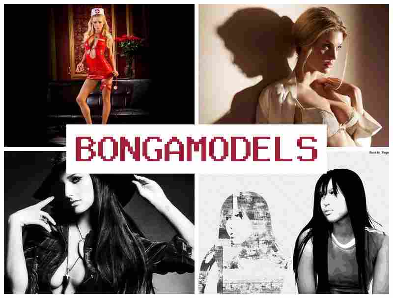 BONGA JODELS ☑️ Online príležitosť bez nutnosti skúseností priamo z domu