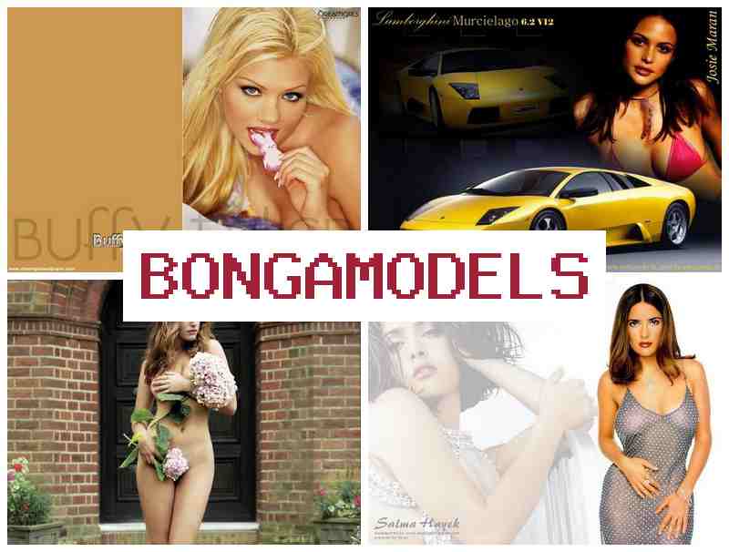 BONGA MODDLS 🔺 Flexibilná práca pre každého s týždennou odmenou