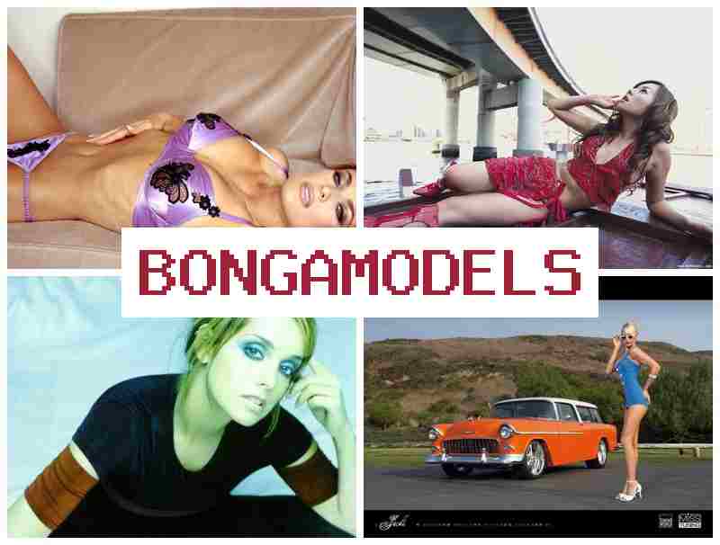 BONGA MODEPS 🔔 Práca cez internet bez nutnosti skúseností s vysokou odmenou