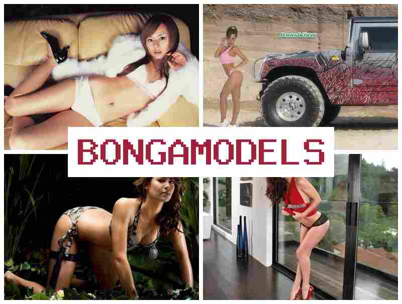 BONGA MODELX 💻 Zarábanie z domu pre ženy a mužov s podporou 24/7 BONGA MODELX 💻 Zarábanie z domu pre ženy a mužov s podporou 24/7