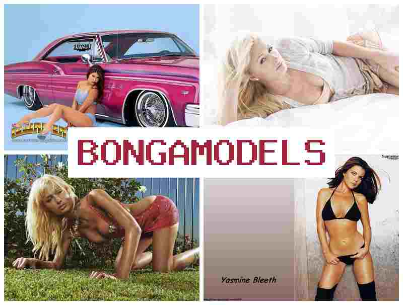 BONGA MODELD ▓ Све о послу као интернет модел уз техничку подршку