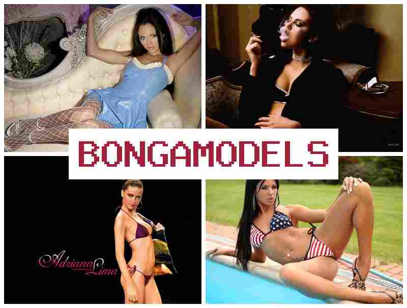 BONGAMMODELS 🆓 Nampi duit luhur mingguan tina gawé web modél di imah, jeung bantuan 24/7. BONGAMMODELS 🆓 Nampi duit luhur mingguan tina gawé web modél di imah, jeung bantuan 24/7.