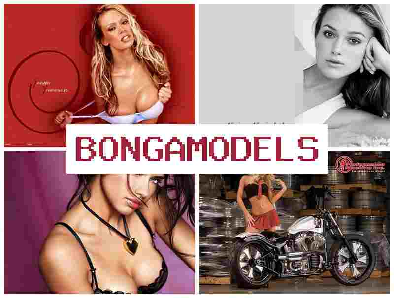 BONGAM9DELS 💸 Gawé jarak jauh model internét, panghasilan ajeg