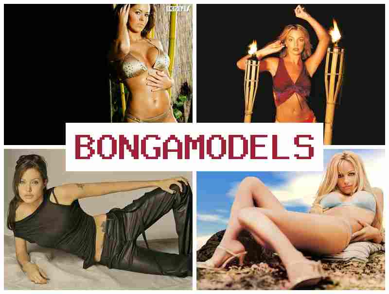 BONGA MORELS 🌐 அதிக வருமானம் பெறக்கூடிய இணைய உரையாடல் மாடல் வேலை – வீட்டிலேயே செய்யலாம் BONGA MORELS 🌐 அதிக வருமானம் பெறக்கூடிய இணைய உரையாடல் மாடல் வேலை – வீட்டிலேயே செய்யலாம்