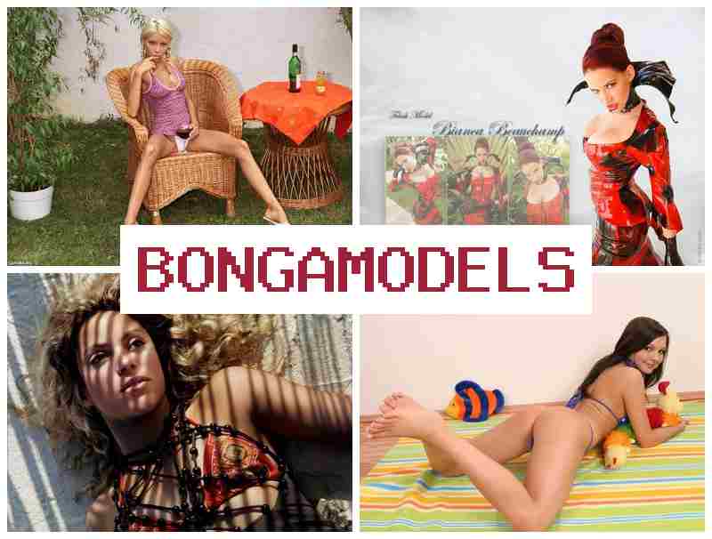 BONGA MOXELS 💵 அனைவருக்கும் எளிதான இணைய நிகழ்ச்சி மாடல் வேலை – வீட்டில் இருந்து செய்யலாம்