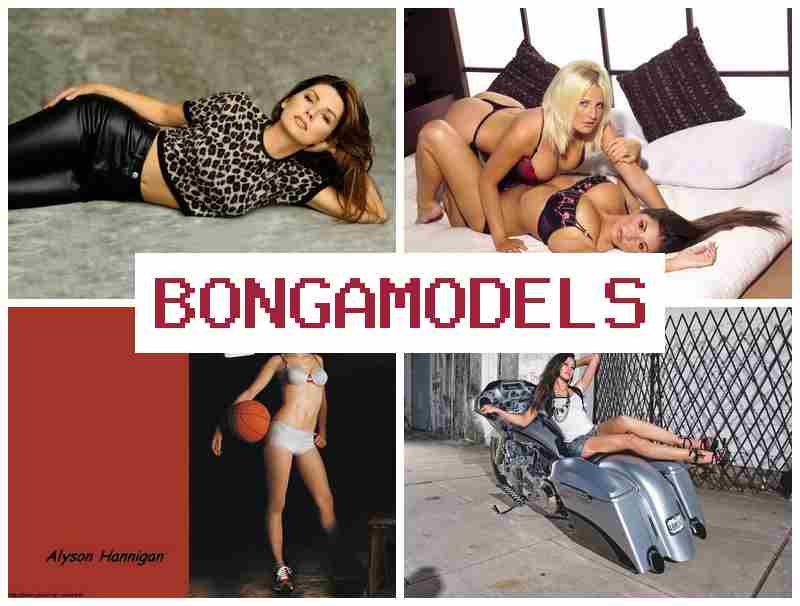 BONGA MODE.S 🆓 அங்கீகரிக்கப்பட்ட வீட்டு வெப்கேம் தொழில், வார வருமானம் BONGA MODE.S 🆓 அங்கீகரிக்கப்பட்ட வீட்டு வெப்கேம் தொழில், வார வருமானம்