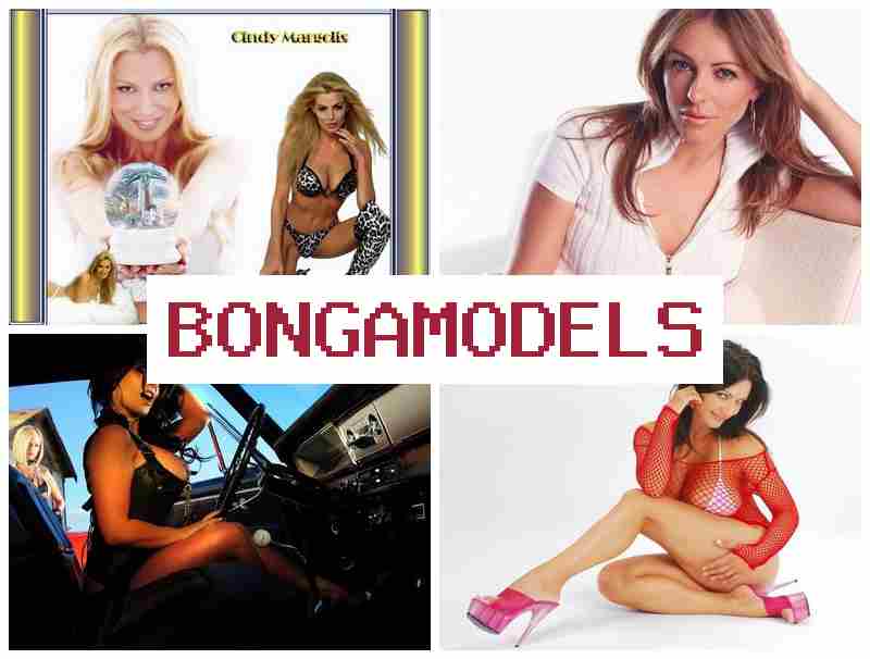 BINGAMODELS 📷 వెబ్ మోడల్గా ఇంటివద్ద నుంచి అదనపు ఆదాయం పొందండి, స్మార్ట్ఫోన్ తో పని చేయండి.