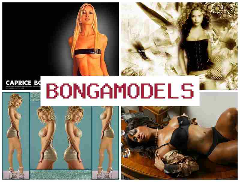 BONGWMODELS 🔵 నమ్మకమైన డిజిటల్ వర్క్ - తగినంత తోడ్పాటు మరియు ఆదాయం. BONGWMODELS 🔵 నమ్మకమైన డిజిటల్ వర్క్ - తగినంత తోడ్పాటు మరియు ఆదాయం.