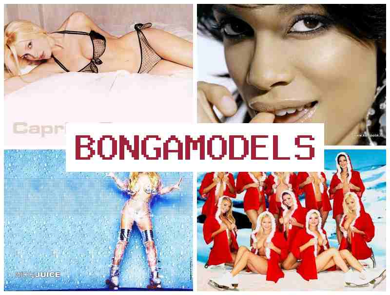 BONGAMKDELS 🔔 పూర్తి స్థాయి మద్దతు తో సురక్షితమైన ఇంటర్నెట్ కెరీర్.